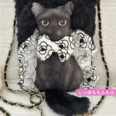 ふかふか猫耳＆しっぽ　黒猫ちゃん　コヤンイサムチョン　もふもふサコッシ