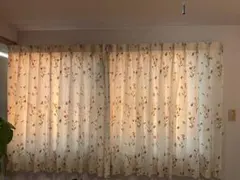 SINCOL ドレープカーテン　2枚