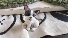 フレンチブルドッグ フィギュア