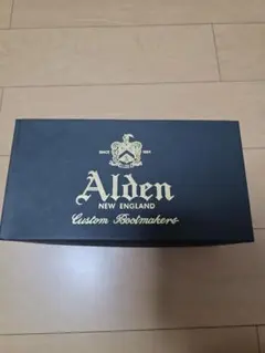 オールデン　Alden　　　D7403C BROGUE別注のサムネイル