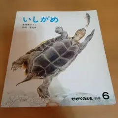 Item thumbnail for item 448201cc-011b-401c-aca2-4827f09fc13e