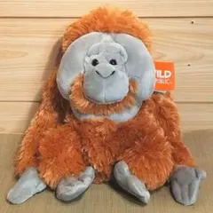 ワイルドレパブリック　オランウータン　リアル　動物　ぬいぐるみ　動物園　サル