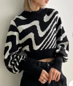 EMODA 2 TONE ZEBRA KNIT TOP（ブラック）