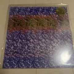 未使用品 アナログレコード LP盤] Tempalay GHOST ALBUM - メルカリ
