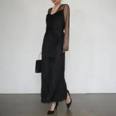 WILLFULLY dot tulle panel lace velour OP - メルカリ