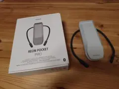 Item thumbnail for item 122d4780-4b34-4a9c-80aa-cebc0a41520f