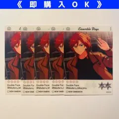 【即購入可能】三毛縞斑 EMOCA エモカ 5点セット