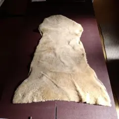 Item thumbnail for item 44b6bfd3-01b1-4cda-8f80-d0f4639b0755