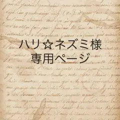 ハリ☆ネズミ様　専用ページ