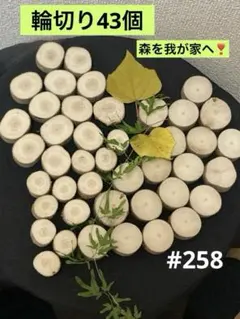 Item thumbnail for item f8a1fbff-5c1c-4b64-a025-6572f43f5123