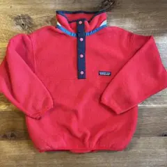 パタゴニア スナップt