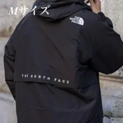 Item thumbnail for item 4bbbfc1d-455e-4295-b654-283c833c2504