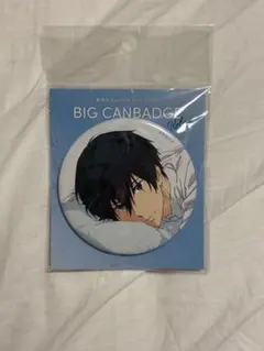 劇場版 Free FS ビッグ缶バッジ Relax 七瀬 遙 2025年最新】free 缶バッジ relaxの人気アイテム - メルカリ