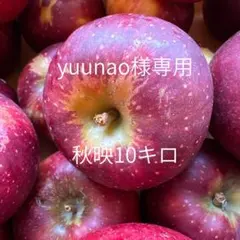秋映 りんご 10キロ yuunao様専用