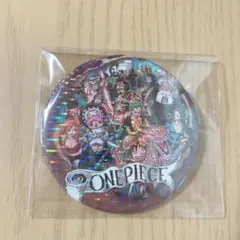 ワンピース 麦わらの一味　缶バッジ