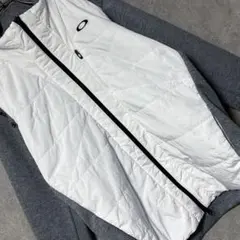 Item thumbnail for item e87b2fda-e1e0-4b2c-8e0c-f739c96ff76a