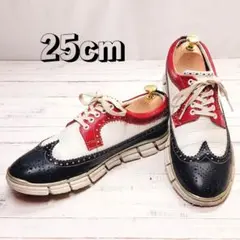 HIROSHI TSUBOUCHI 革靴 ウィングチップ スニーカー25cm