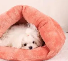 Item thumbnail for item 570599c0-cba9-4891-83bd-ec5c48c87dd3