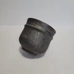 サマーセール！ 現地株 コピアポア シネレア 黒王丸 田中元将 作家鉢 2025年最新】コピアポア シネレアの人気アイテム - メルカリ