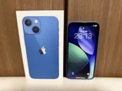 Item thumbnail for item 315c130a-3732-4784-958d-06495832e161