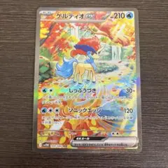 2026年最新】ケルディオex SARの人気アイテム - メルカリ