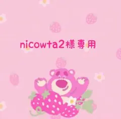 nicowta2様専用です