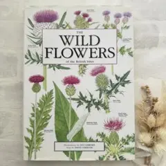 WILD FLOWERSꕤイギリス野の花図鑑ꕤ1600のイラスト ボタニカル洋書 