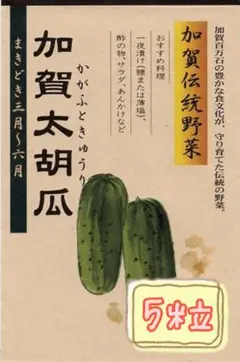 ぽんず様 リクエスト 2点 まとめ商品