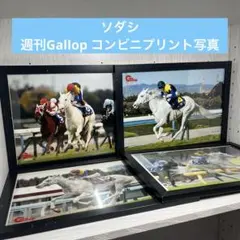 ソダシ 週刊Gallop ギャロップ コンビニプリント写真