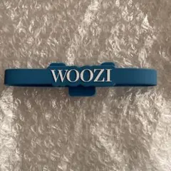 SEVENTEEN be the sun ウジ ペンライトアクセサリー