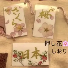 Item thumbnail for item 51018c11-6732-443e-851a-d4e8320dcf03