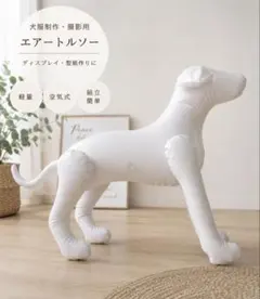 강아지 몸통 마네킹 강아지 옷 에어 디스플레이 경량 공압 도그웨어