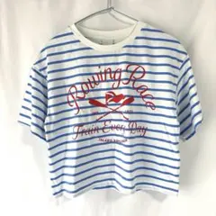 新品タグ付き ZARA ショート丈Tシャツ ボーダー マリン 148cmのサムネイル