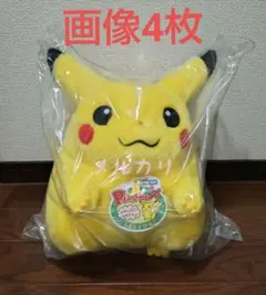 ポケットモンスター ポケモン30周年記念 おかえり！ピカチュウ1/1 ＋α