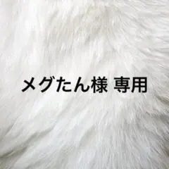 メグたん様 専用