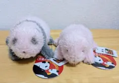 2026年最新】ほんとの大きさパンダの仔の人気アイテム - メルカリ
