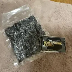 【非売品】EXILE TRIBE FAMILY更新グッズ