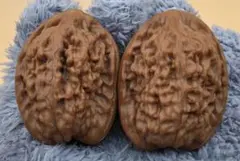 文玩核桃 蓮花 辺38×腹38×高48mm 50g 下地済み
