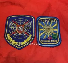 ウクライナ軍 アゾフ ヒドラ部隊 旗 タペストリー ロシア軍 ソ連軍