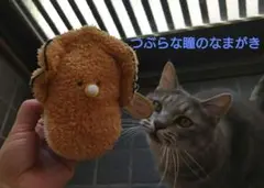 つぶらな瞳のなまがき　へんしんぬいぐるみ　リバーシブル　ベビーなまがき