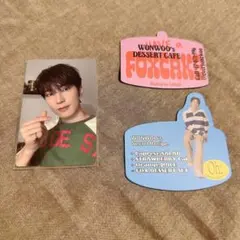 SEVENTEEN ウォヌ フォトブック マグネット トレカ