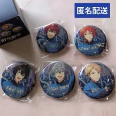 あんさんぶるスターズ　中国　群星缶バッジ　Knights　レオ　司　泉　凛月　嵐