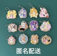 魔法つかいプリキュア クッキーチャームコット 13個セット