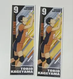 Item thumbnail for item 1b31dab3-7215-4acb-b3e9-63bd8e64f82c