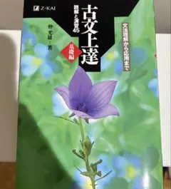 古文上達 読解と演習45 基礎編 仲光雄 Z-KAI