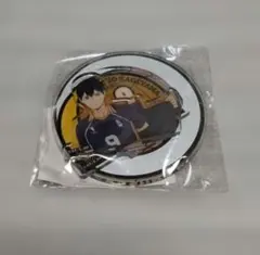 ハイキュー!!烏野高校 影山飛雄 アクリルカプセル