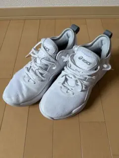 2026年最新】nova surge low 26.5の人気アイテム - メルカリ