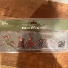 新品　ファンタジースプリングス　ピーターパン　キーチェーンセット