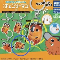 つながリングチャーム 劇場版チェンソーマン カプセルトイ キーホルダー　ポチタ