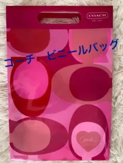☆コーチ☆ビニールバッグ雑誌付録